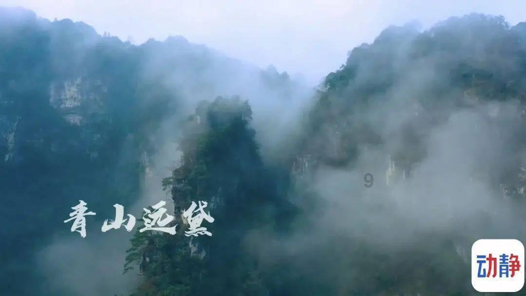 植物大战僵尸1