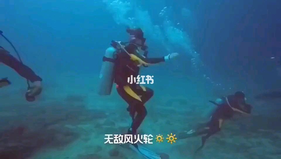 派拓网络跌0.89% 股价跌破200美元大关